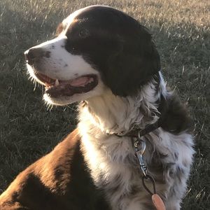 Meet your Posher, Amber